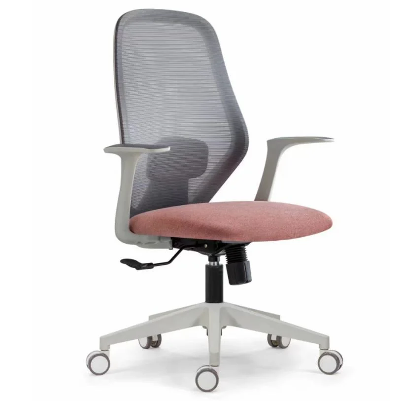 White Frame Middle Back Work Station Chair Modern Design New Clear Plastic Adjustable Chair Ergonomic Mesh Chair